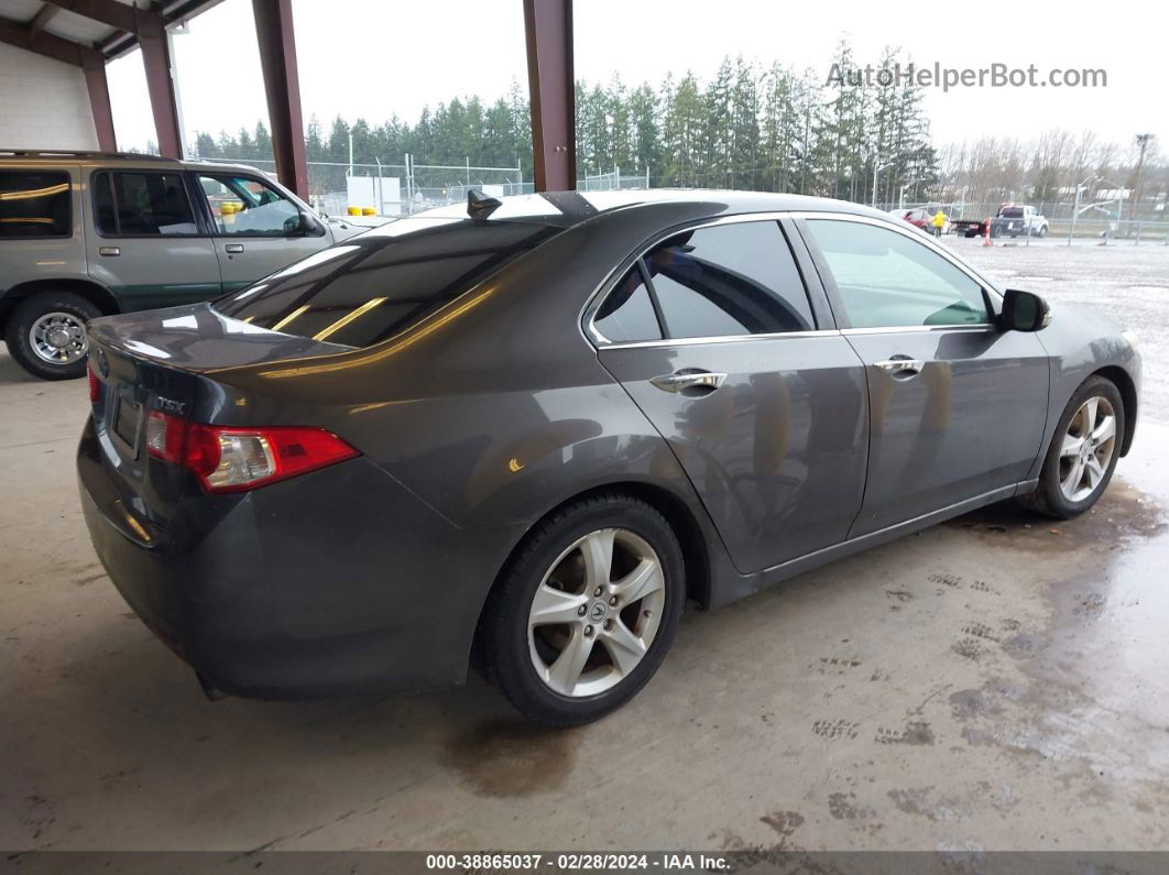 2009 Acura Tsx   Gray vin: JH4CU26679C008535