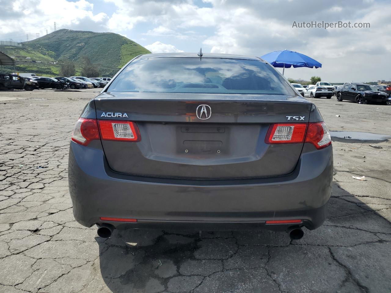 2009 Acura Tsx  Угольный vin: JH4CU26679C015825