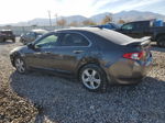 2009 Acura Tsx  Black vin: JH4CU26679C026694