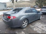 2009 Acura Tsx   Gray vin: JH4CU26689C003389