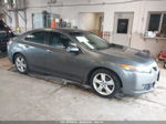 2009 Acura Tsx   Gray vin: JH4CU26689C008768