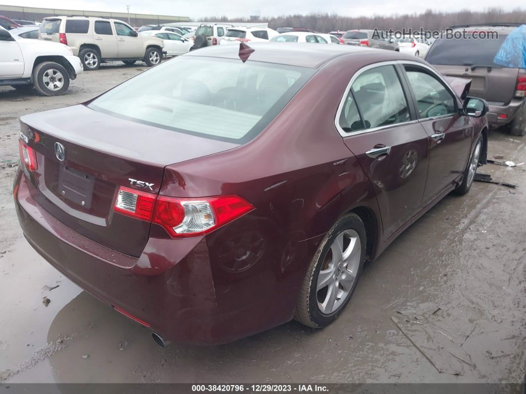 2009 Acura Tsx   Burgundy vin: JH4CU26689C016885