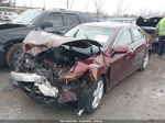 2009 Acura Tsx   Burgundy vin: JH4CU26689C016885