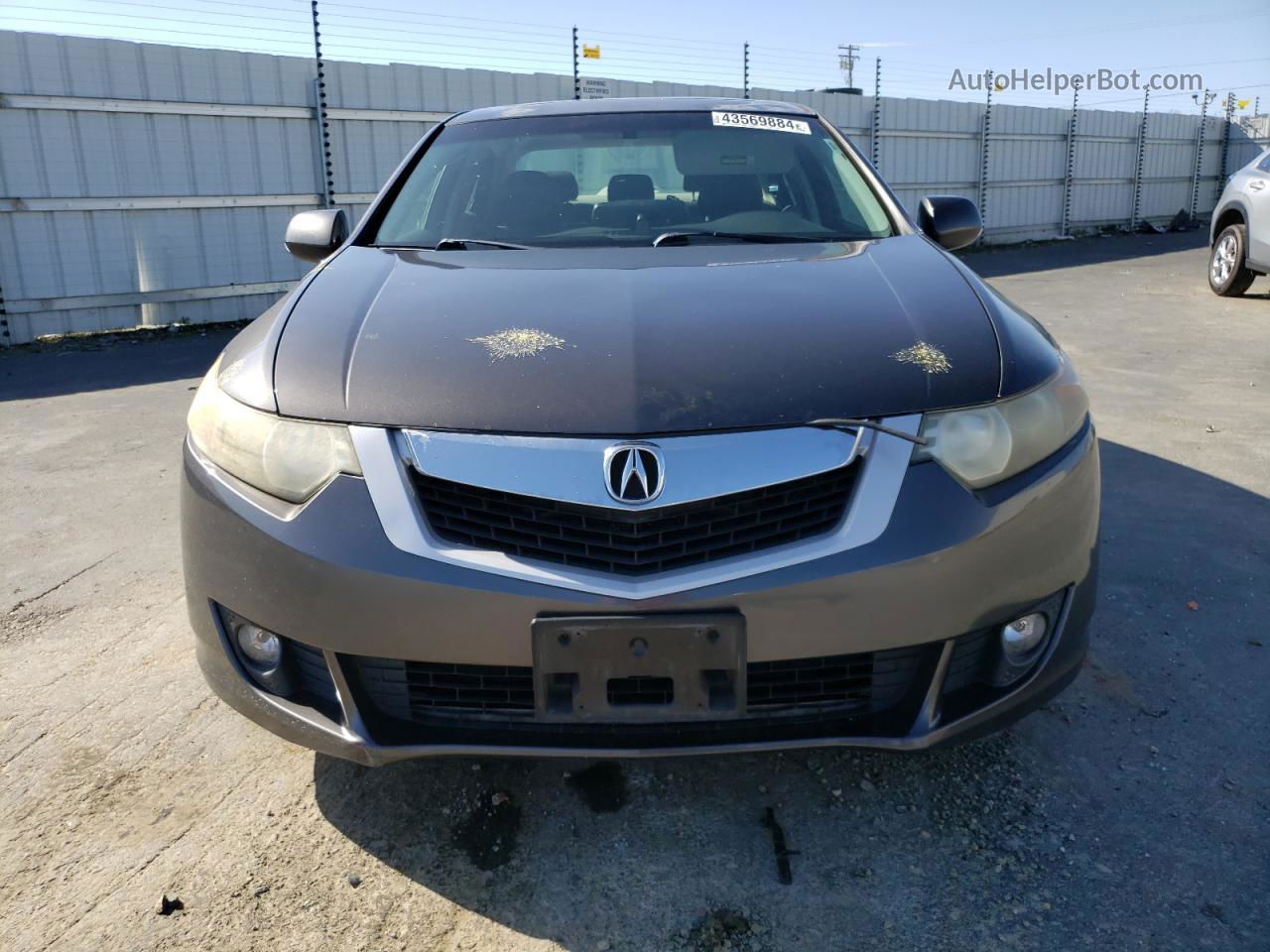 2009 Acura Tsx  Gray vin: JH4CU26689C017261