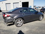 2009 Acura Tsx  Gray vin: JH4CU26689C017261