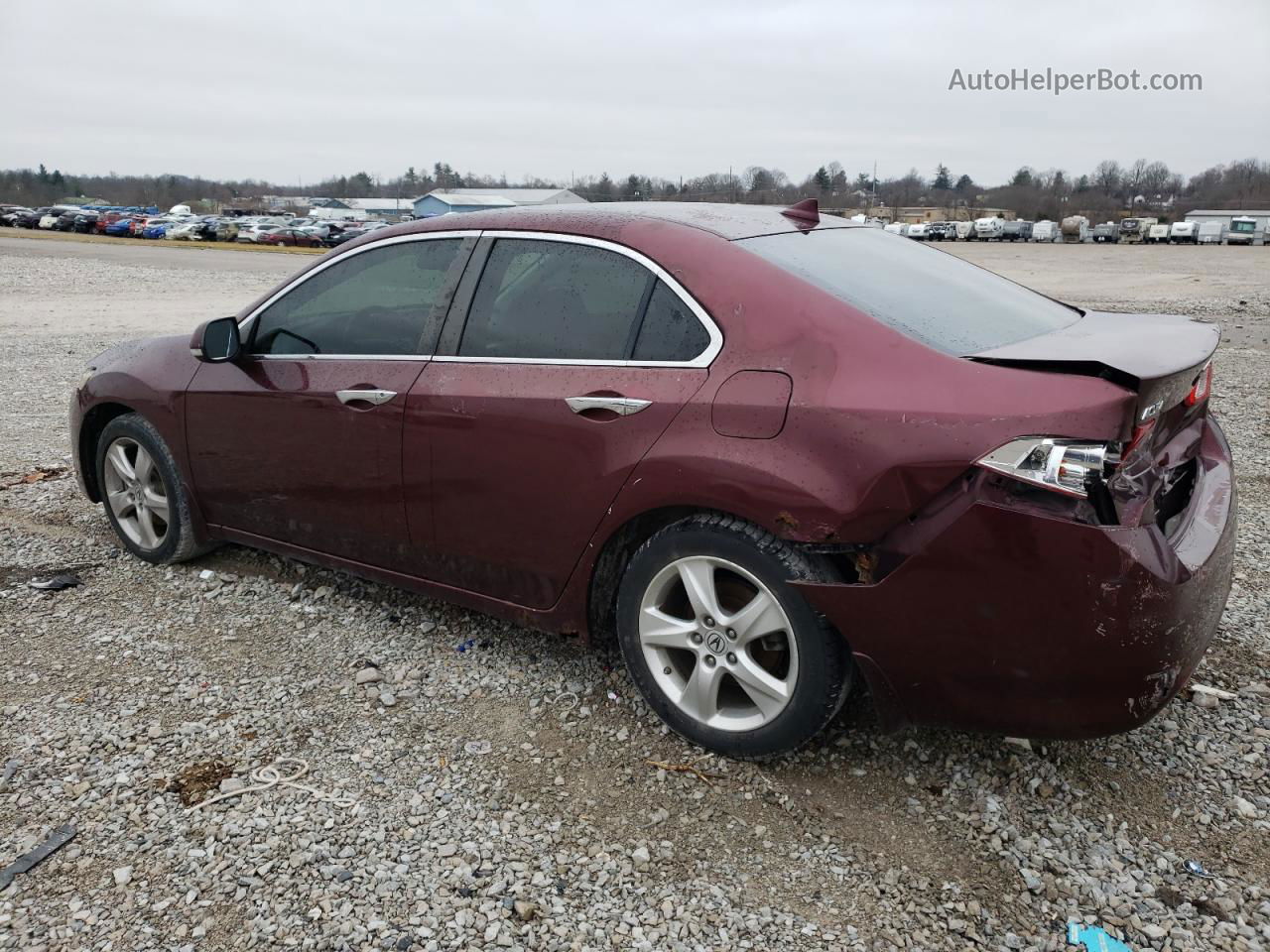 2009 Acura Tsx  Burgundy vin: JH4CU26689C017454