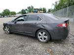 2009 Acura Tsx  Gray vin: JH4CU26689C023447