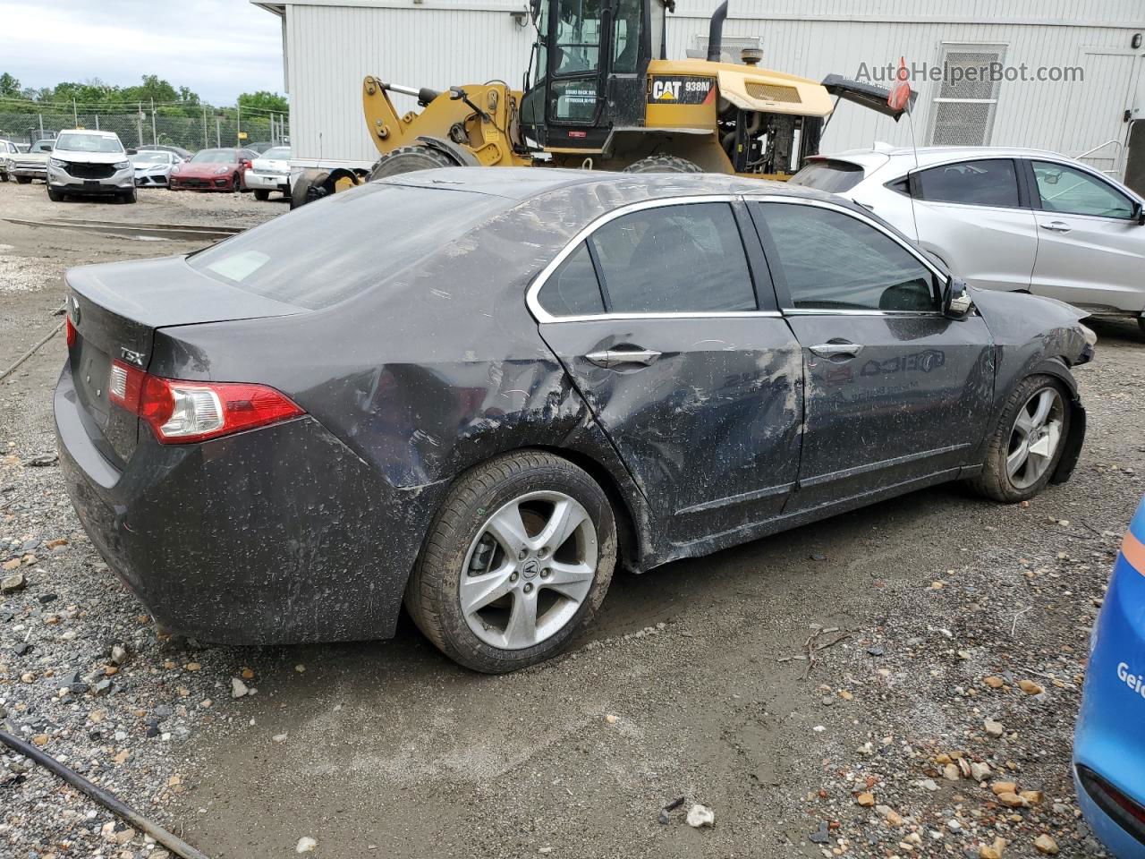 2009 Acura Tsx  Gray vin: JH4CU26689C023447