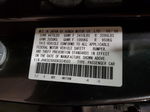 2009 Acura Tsx  Серый vin: JH4CU26689C024503