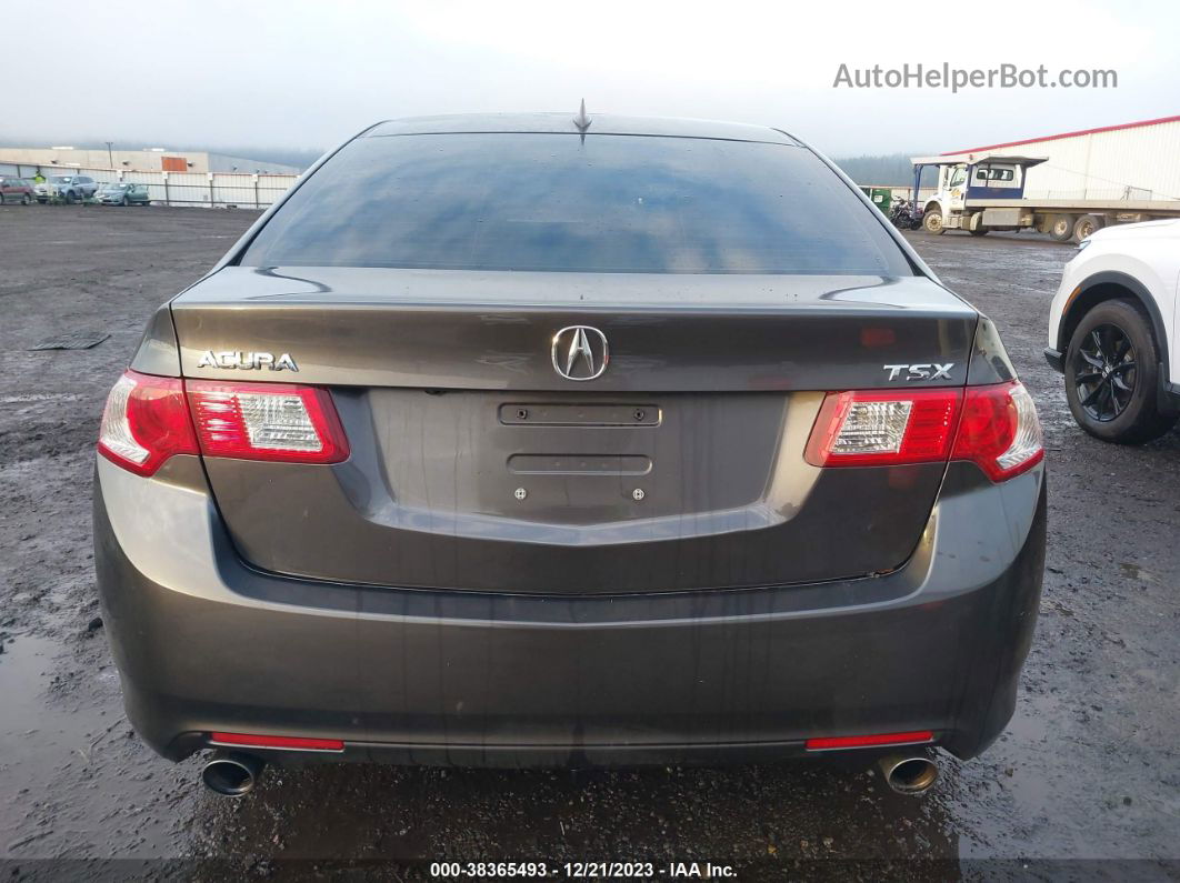 2009 Acura Tsx   Серый vin: JH4CU26699C004356