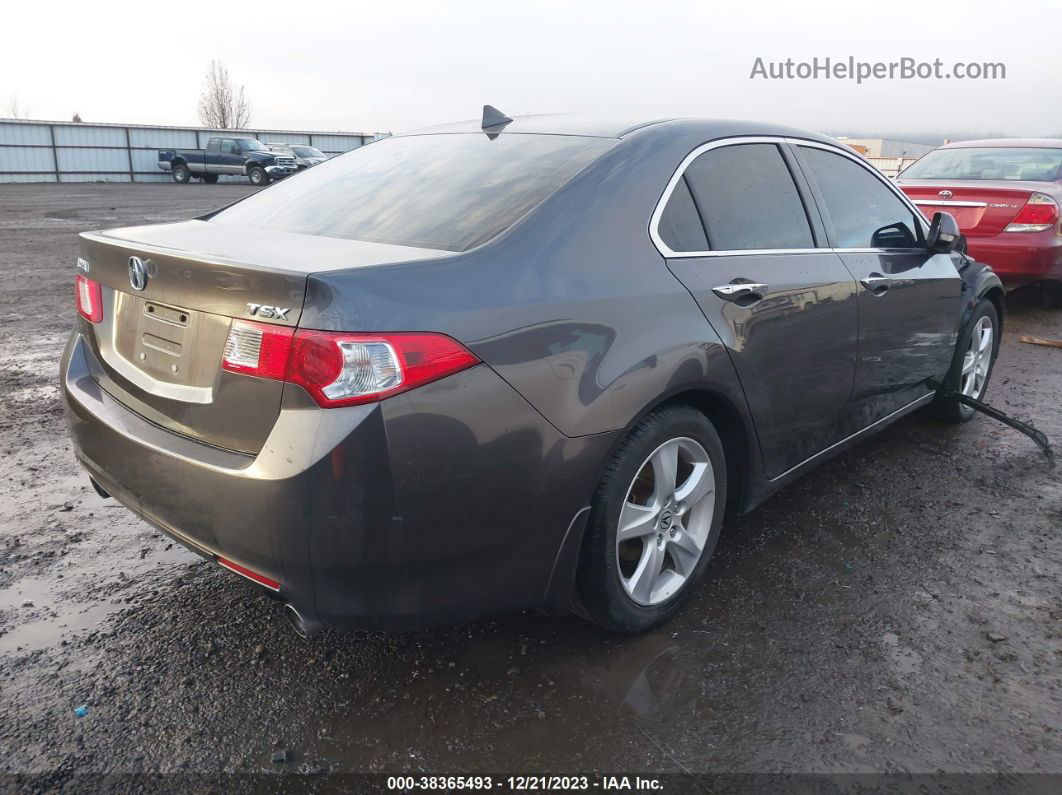 2009 Acura Tsx   Серый vin: JH4CU26699C004356