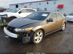 2009 Acura Tsx   Серый vin: JH4CU26699C004356