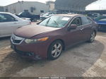 2009 Acura Tsx   Maroon vin: JH4CU26699C010125