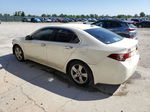 2009 Acura Tsx  White vin: JH4CU26699C016989