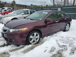 2009 Acura Tsx  Бордовый vin: JH4CU26699C017558