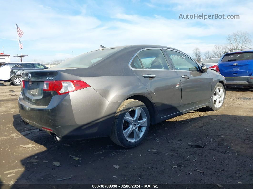 2009 Acura Tsx   Gray vin: JH4CU26699C026521