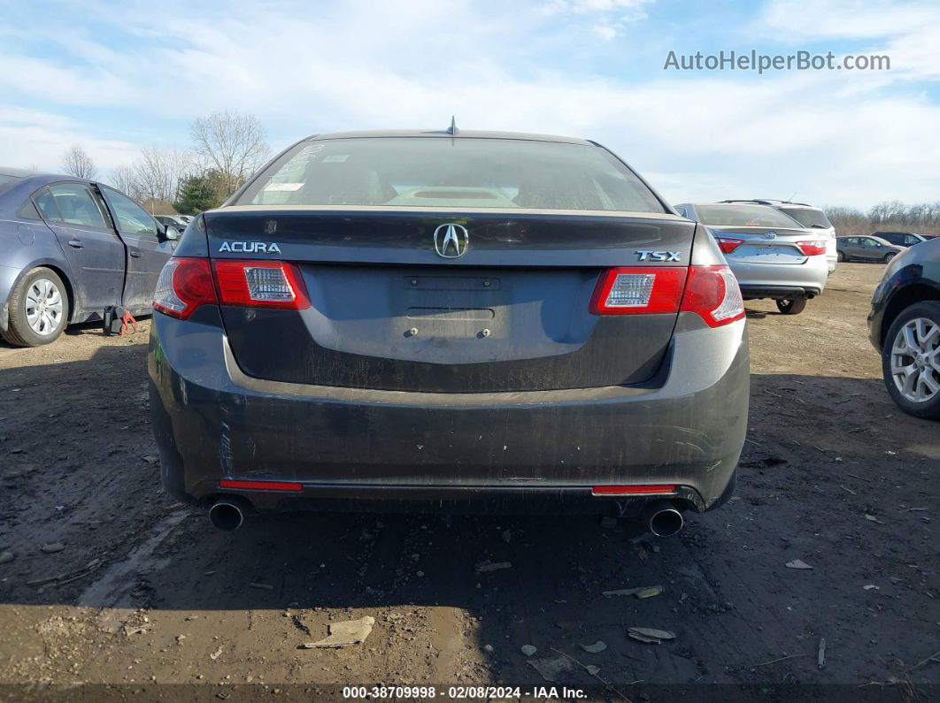 2009 Acura Tsx   Серый vin: JH4CU26699C026521