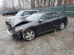 2009 Acura Tsx  Угольный vin: JH4CU26699C029337