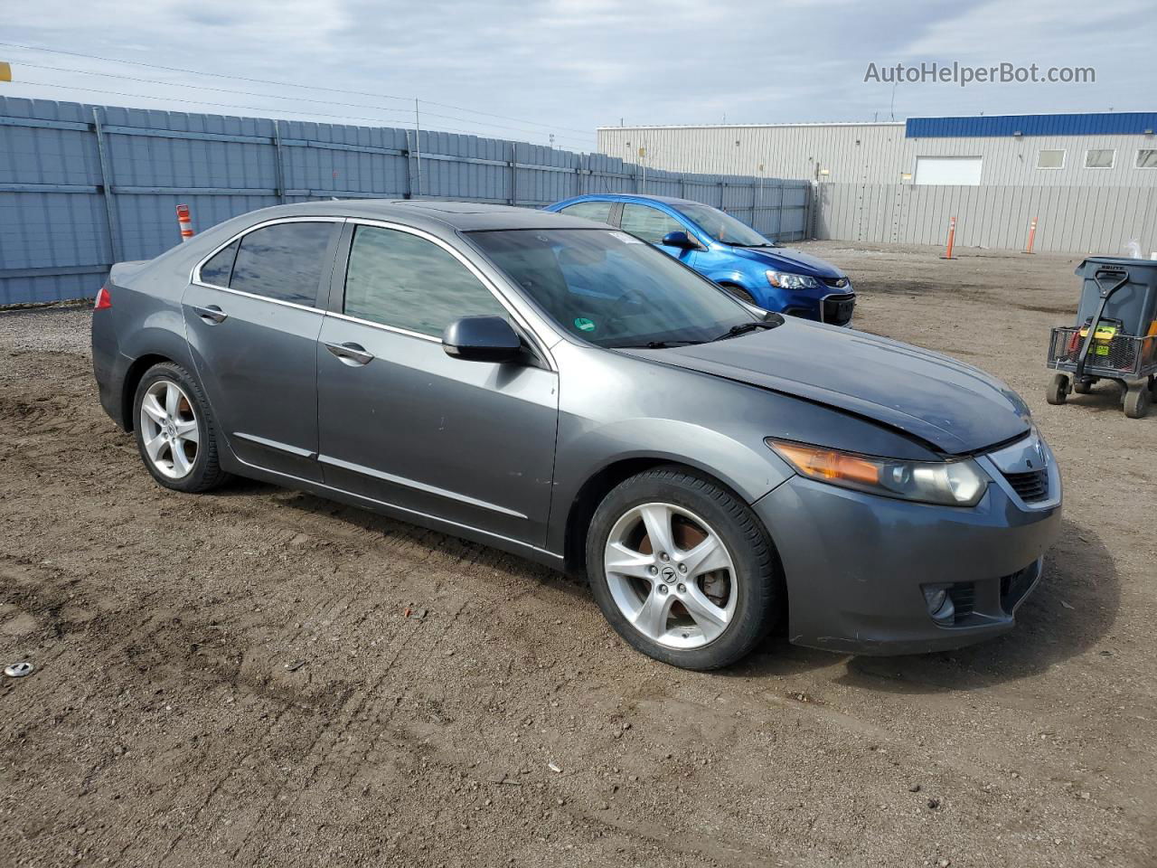 2009 Acura Tsx  Серый vin: JH4CU26699C036529