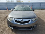 2009 Acura Tsx  Gray vin: JH4CU26699C036529