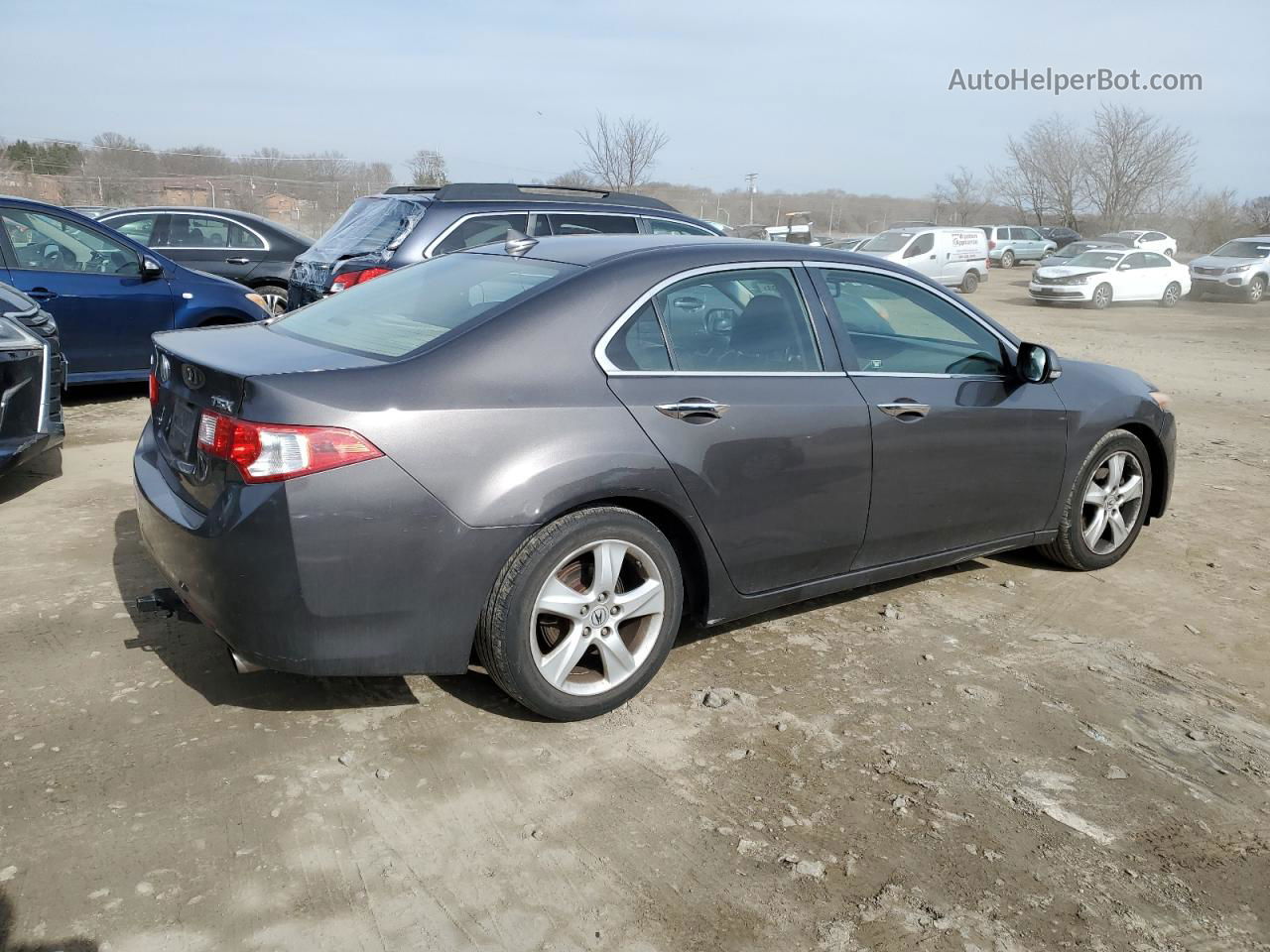 2009 Acura Tsx  Серый vin: JH4CU266X9C007167