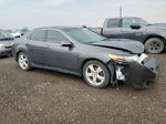 2009 Acura Tsx  Gray vin: JH4CU266X9C801361