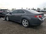 2009 Acura Tsx  Gray vin: JH4CU266X9C801361