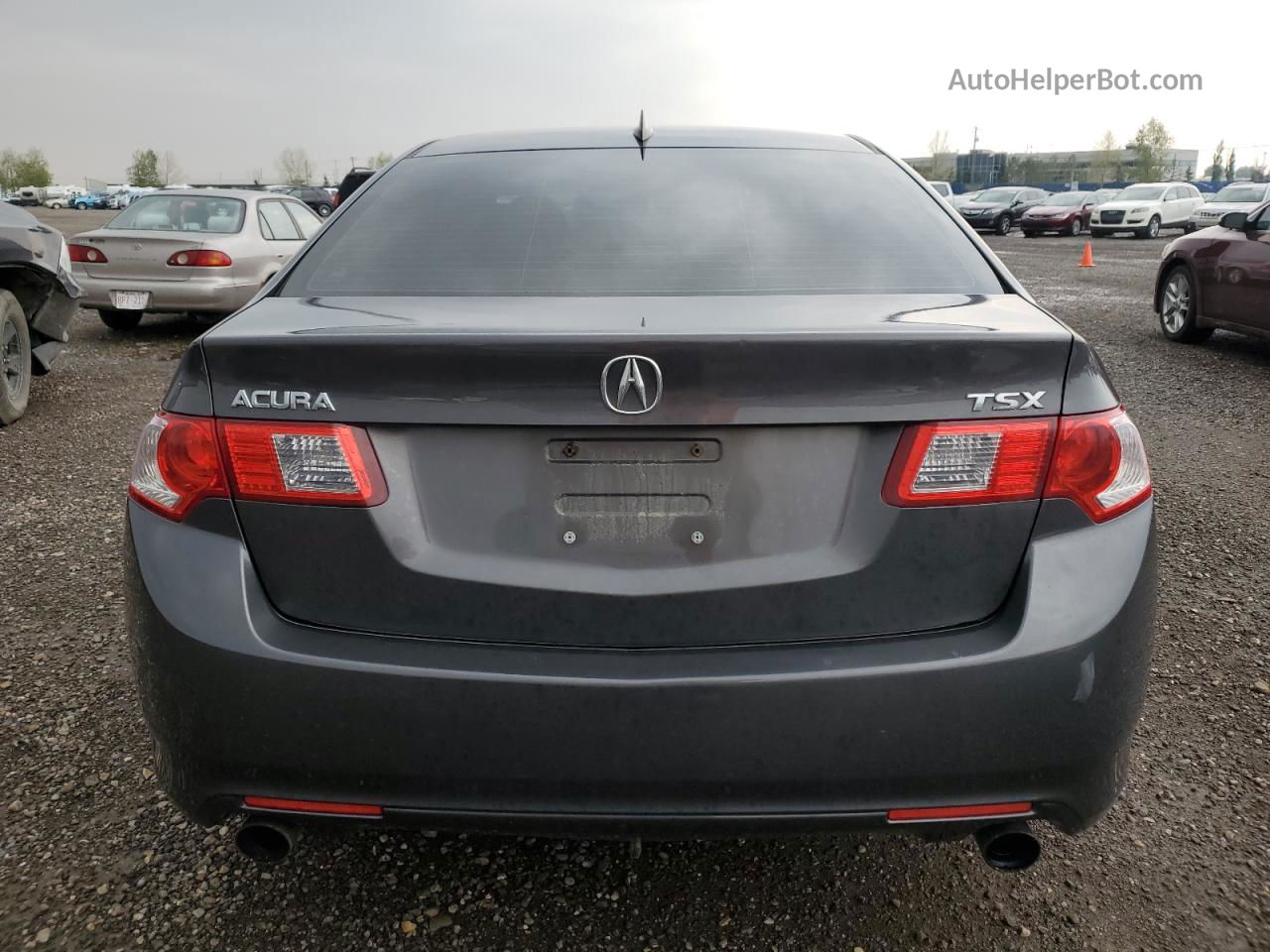 2009 Acura Tsx  Серый vin: JH4CU266X9C801361