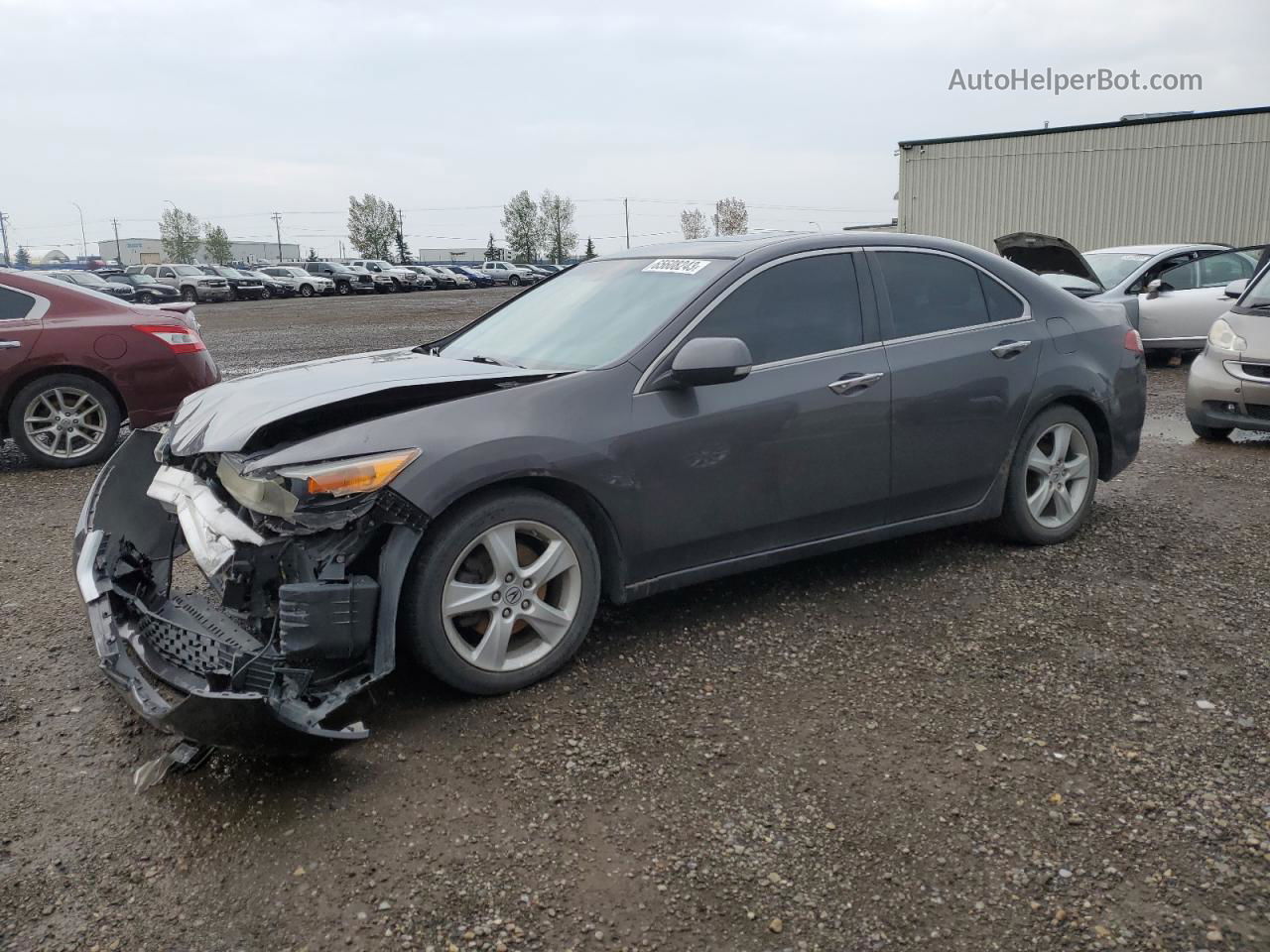 2009 Acura Tsx  Серый vin: JH4CU266X9C801361