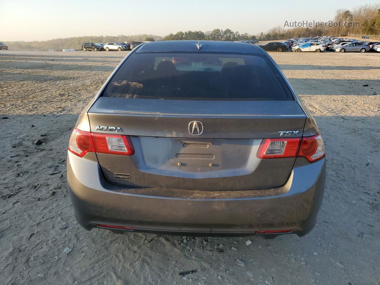 2010 Acura Tsx  Gray vin: JH4CU2E60AC036859