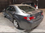 2010 Acura Tsx   Gray vin: JH4CU2E61AC043481