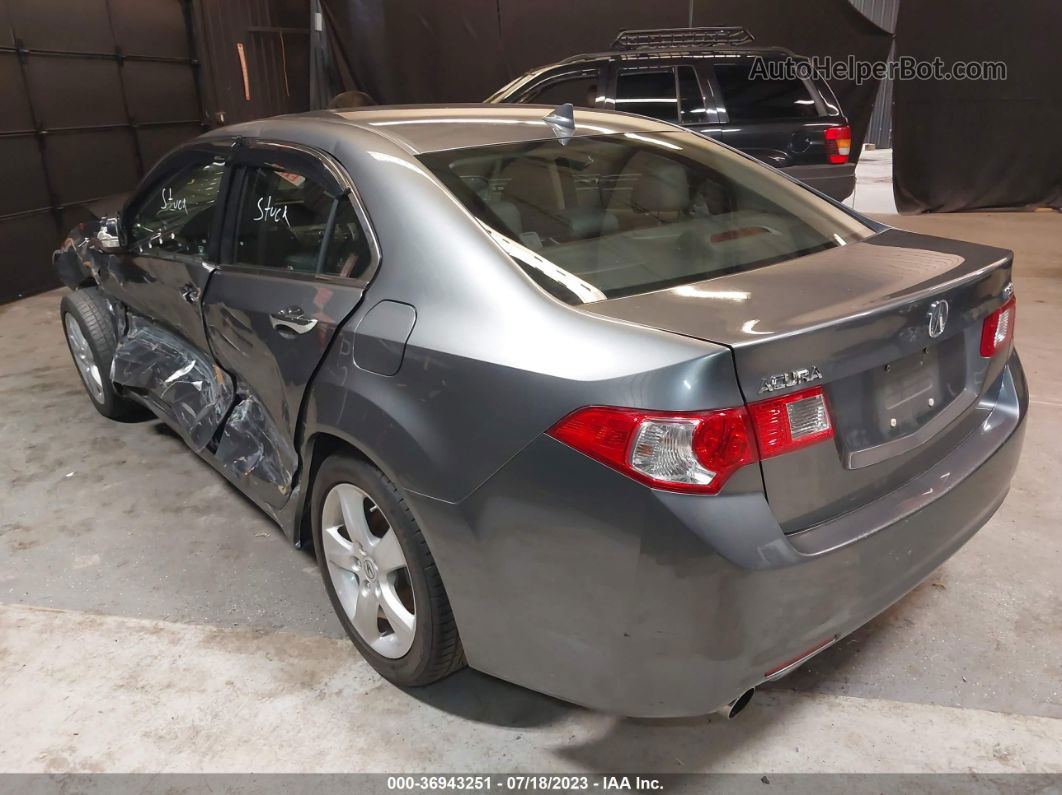 2010 Acura Tsx   Gray vin: JH4CU2E61AC043481