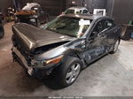 2010 Acura Tsx   Gray vin: JH4CU2E61AC043481