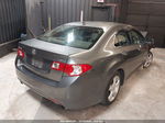 2010 Acura Tsx   Gray vin: JH4CU2E61AC043481