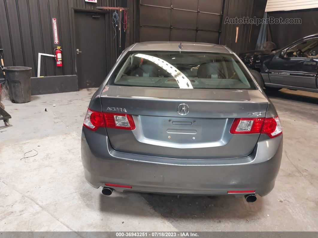 2010 Acura Tsx   Gray vin: JH4CU2E61AC043481