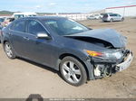 2010 Acura Tsx 2.4 Gray vin: JH4CU2E69AC016528