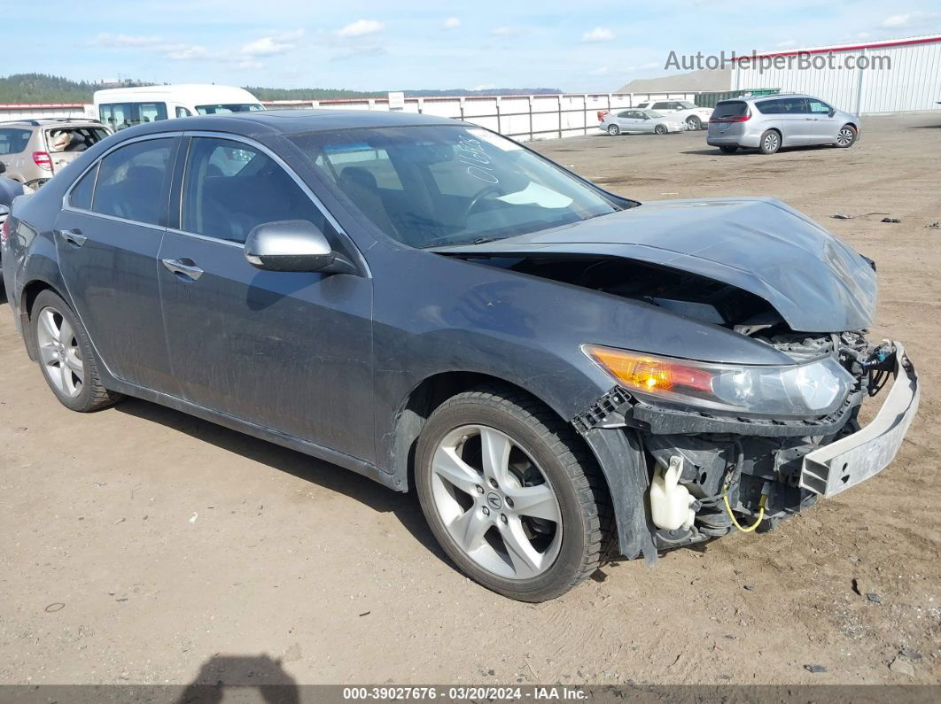 2010 Acura Tsx 2.4 Gray vin: JH4CU2E69AC016528