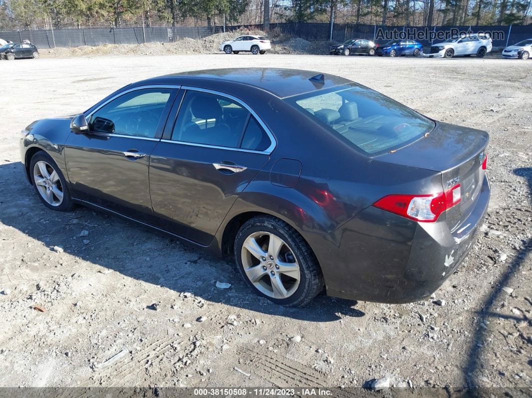 2010 Acura Tsx 2.4 Gray vin: JH4CU2E6XAC001844