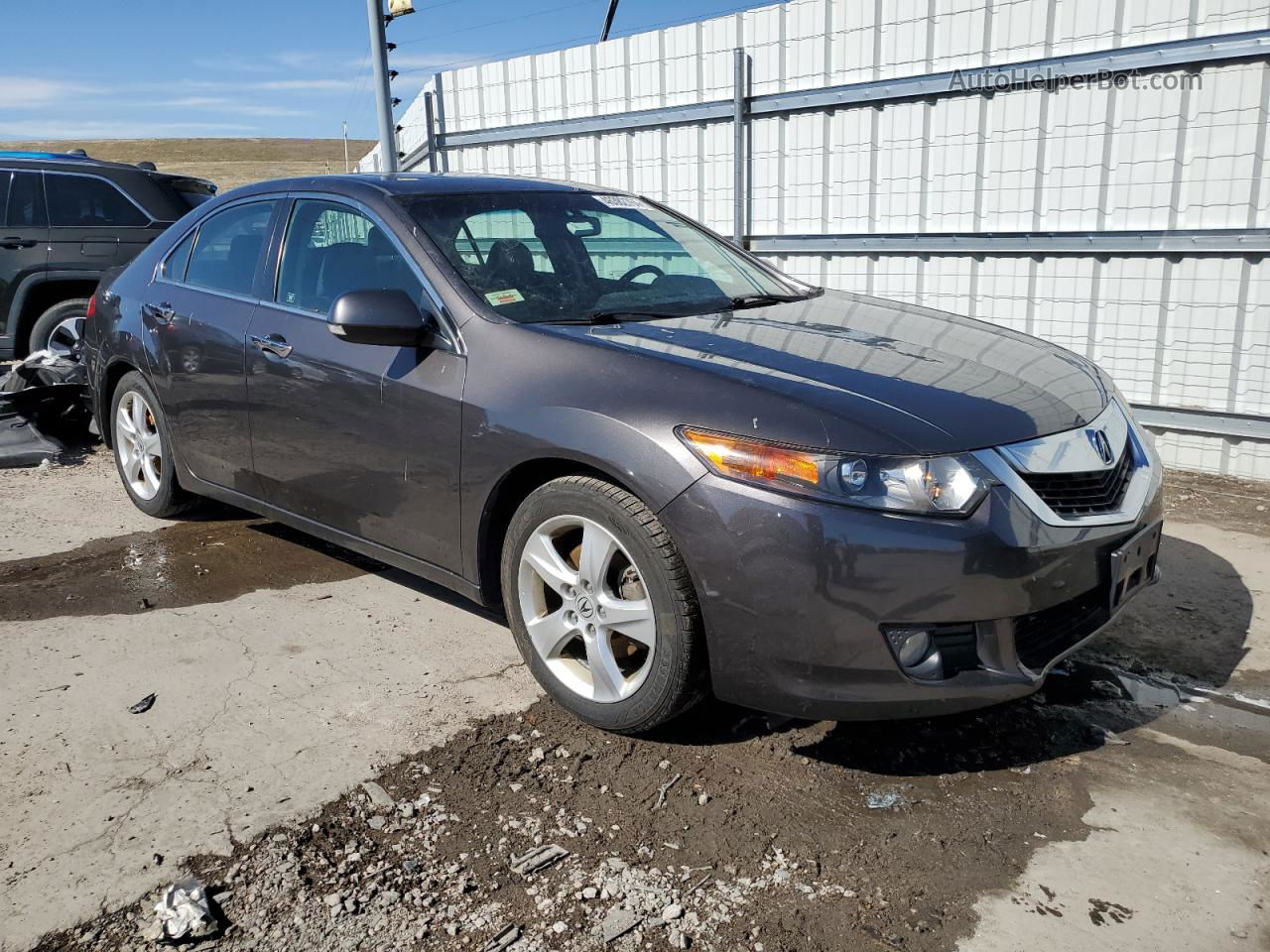 2010 Acura Tsx  Серый vin: JH4CU2F60AC008736