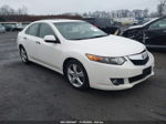 2010 Acura Tsx 2.4 Белый vin: JH4CU2F60AC041803