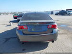 2010 Acura Tsx 2.4 Gray vin: JH4CU2F61AC032155