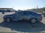 2010 Acura Tsx 2.4 Gray vin: JH4CU2F61AC032155