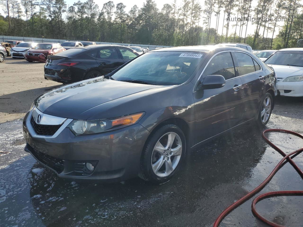 2010 Acura Tsx  Gray vin: JH4CU2F61AC035329