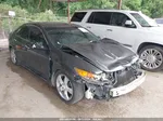 2010 Acura Tsx 2.4 Gray vin: JH4CU2F61AC037744