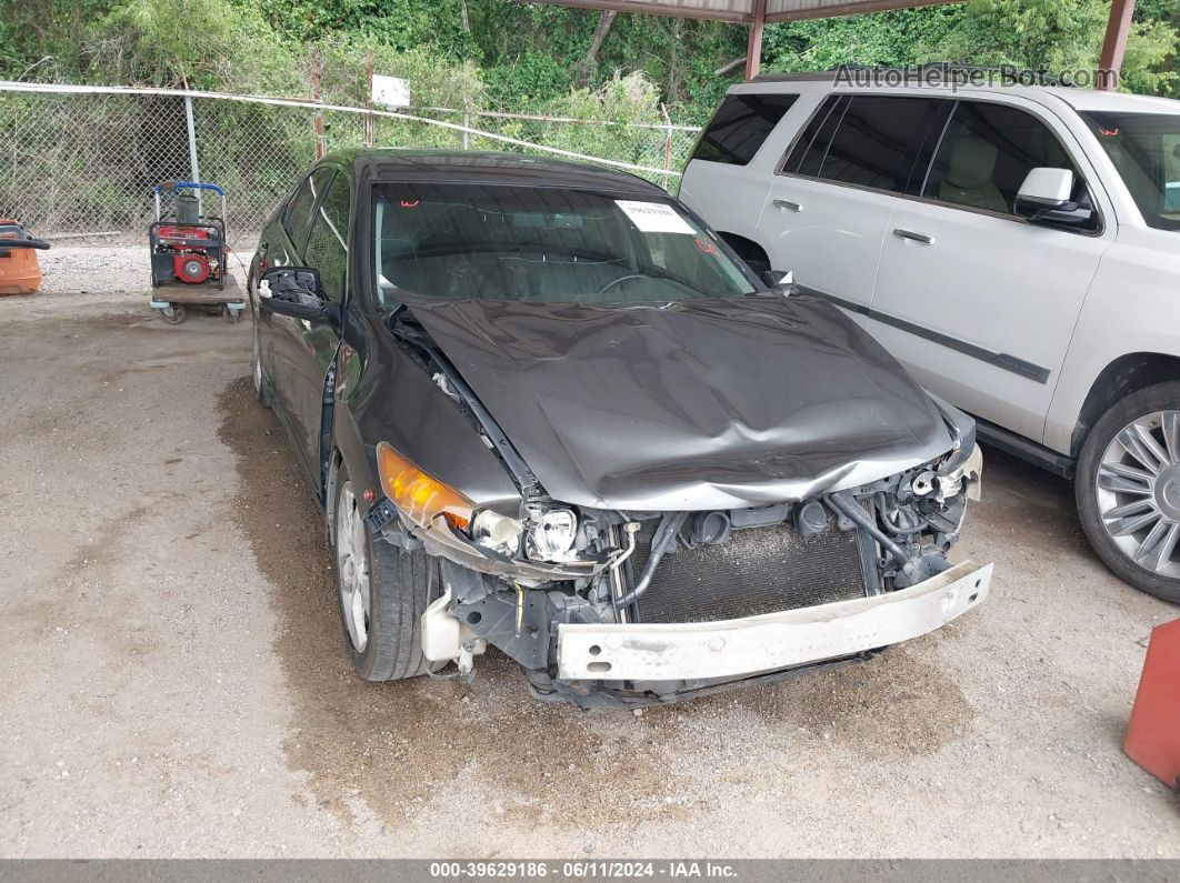 2010 Acura Tsx 2.4 Gray vin: JH4CU2F61AC037744