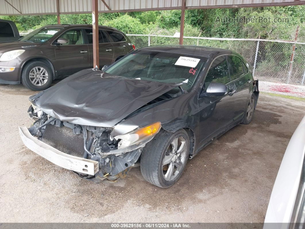 2010 Acura Tsx 2.4 Gray vin: JH4CU2F61AC037744