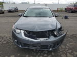 2010 Acura Tsx  Gray vin: JH4CU2F62AC019172