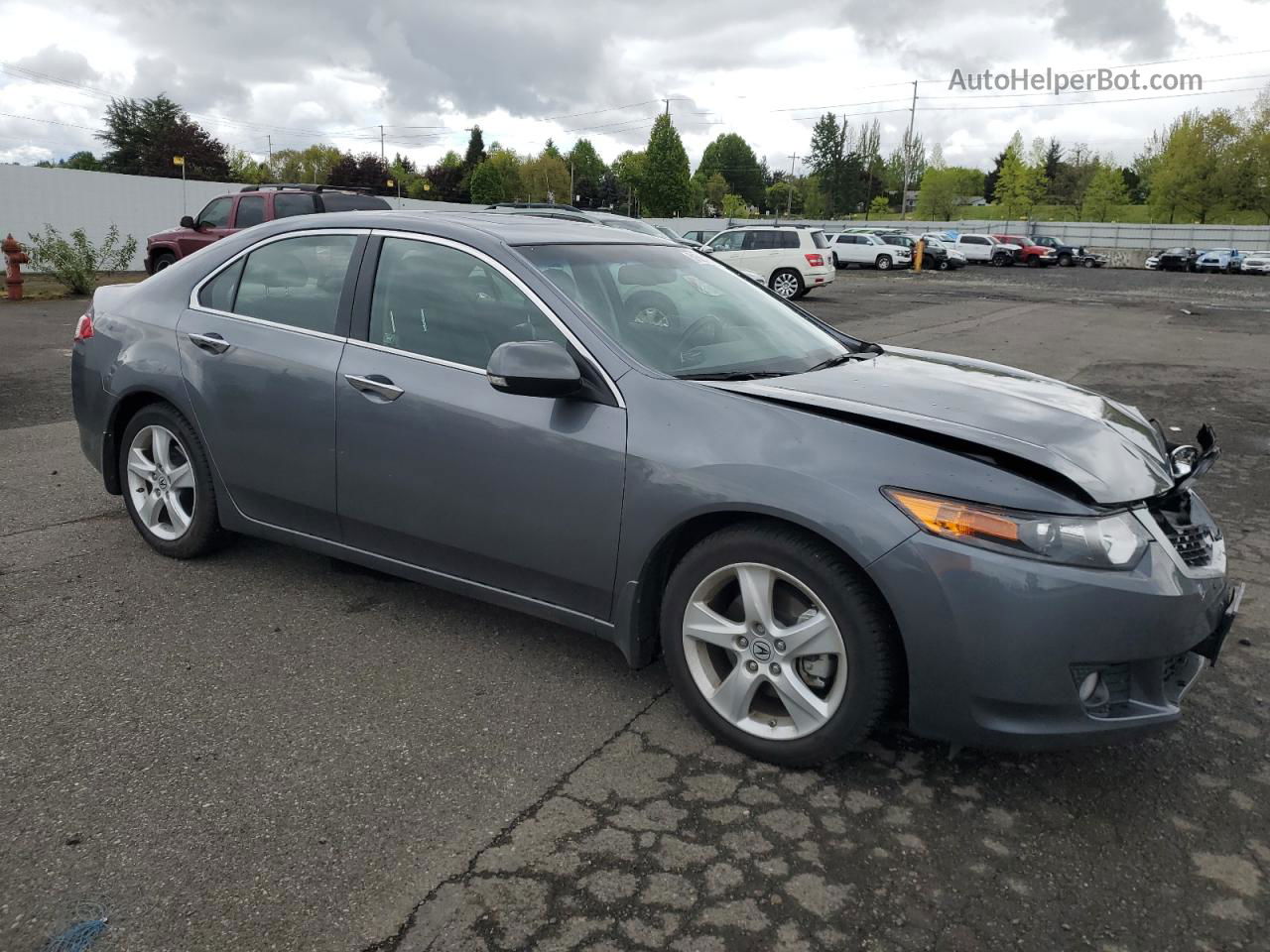 2010 Acura Tsx  Серый vin: JH4CU2F62AC019172