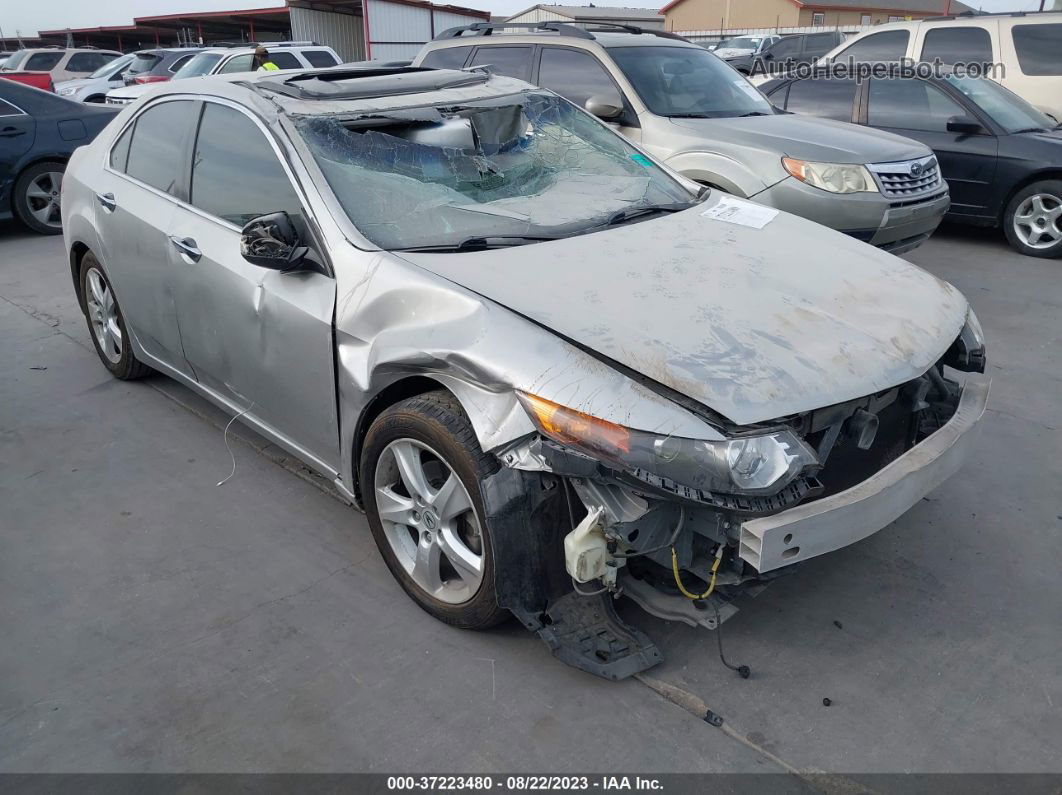 2010 Acura Tsx   Silver vin: JH4CU2F62AC019480