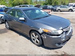 2010 Acura Tsx 2.4 Gray vin: JH4CU2F62AC021617